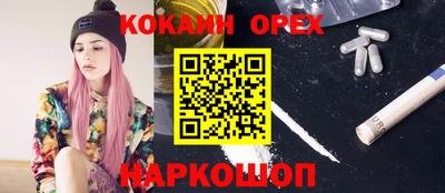 меф Кингисепп