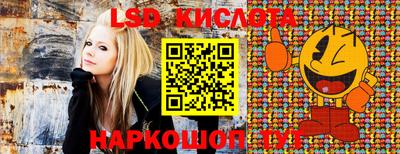 меф Кингисепп