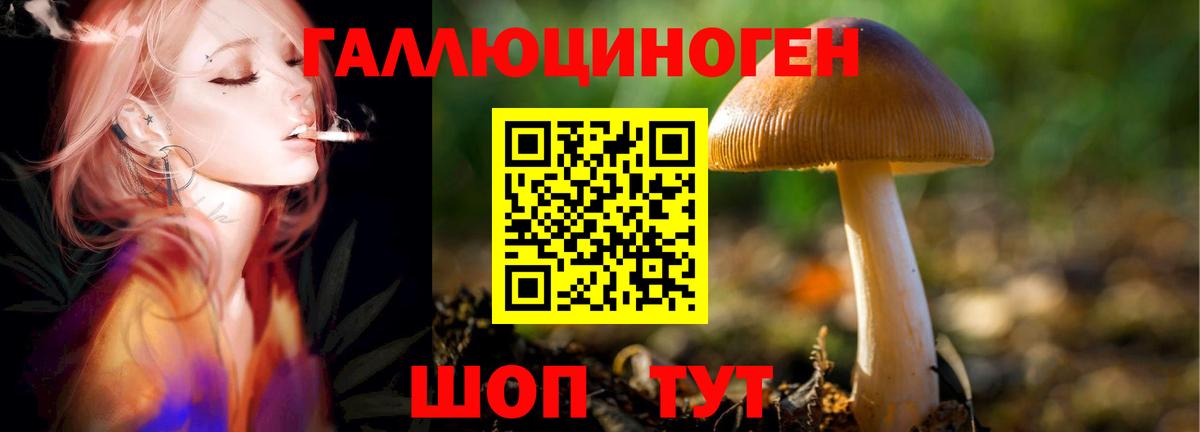 Псилоцибиновые грибы ЛСД Зерноград
