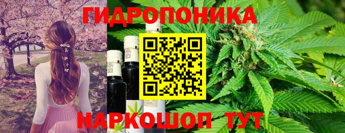 Бошки Шишки MAZAR Зерноград
